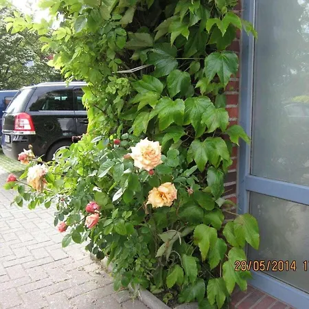 With 1 Bedroom *
